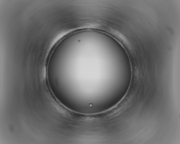 X0000110901324200906181315