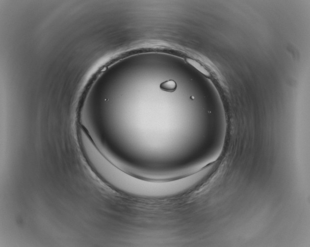 X0000110901326200906181315