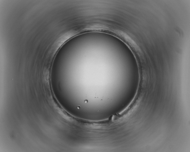 X0000110901329200906181315