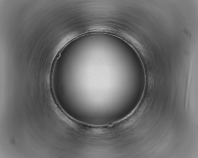 X0000110901330200906181315