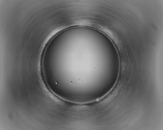 X0000110901331200906181315