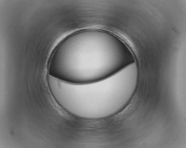 X0000110901332200906181315