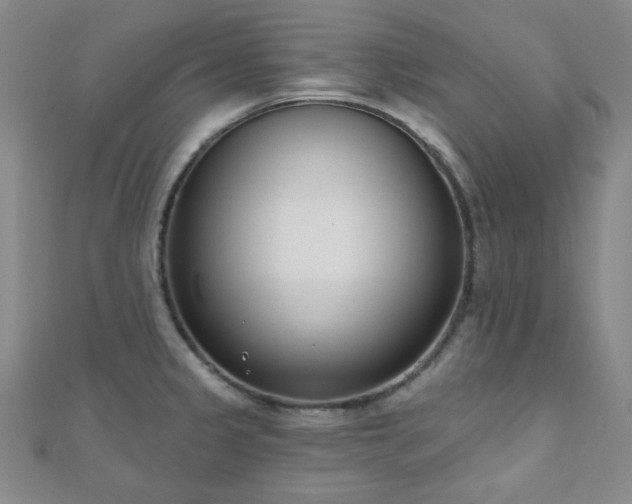 X0000110901333200906181315