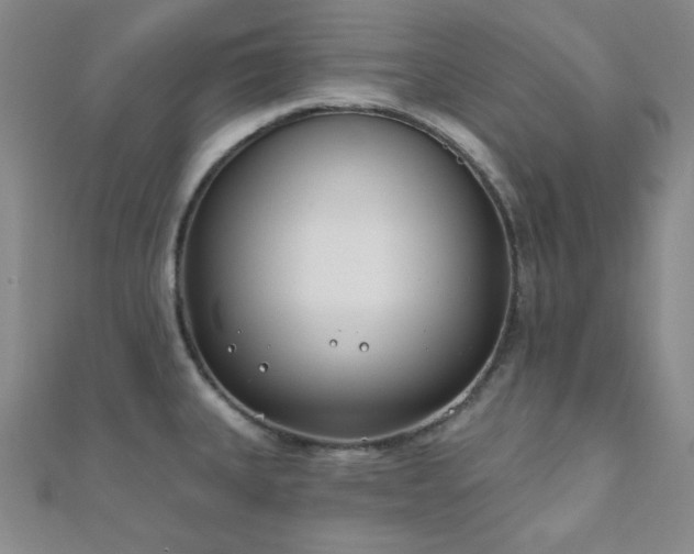 X0000110901335200906181315