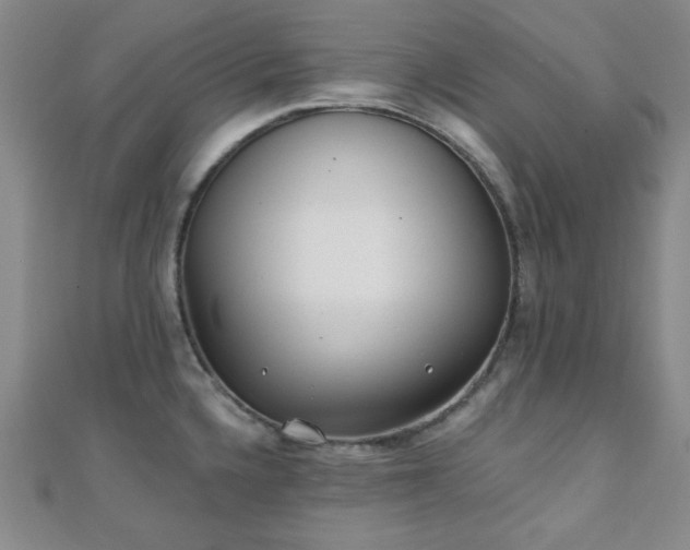X0000110901336200906181315