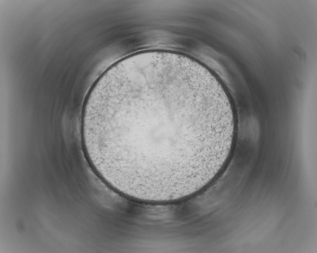 X0000110901338200906181315