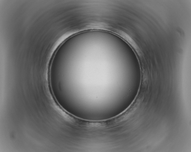 X0000110901339200906181315
