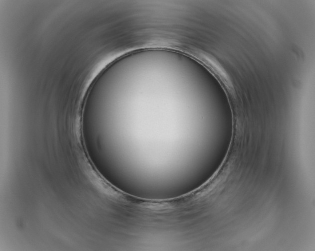 X0000110901340200906181315