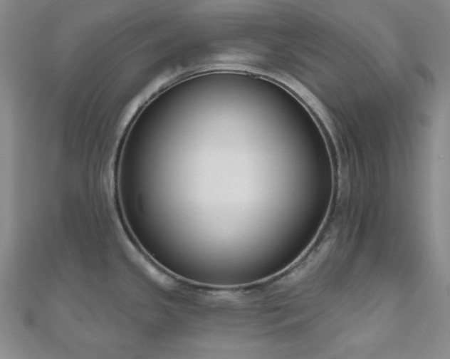 X0000110901341200906181315