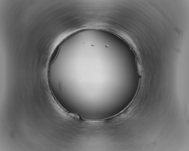X0000110901344200906181315