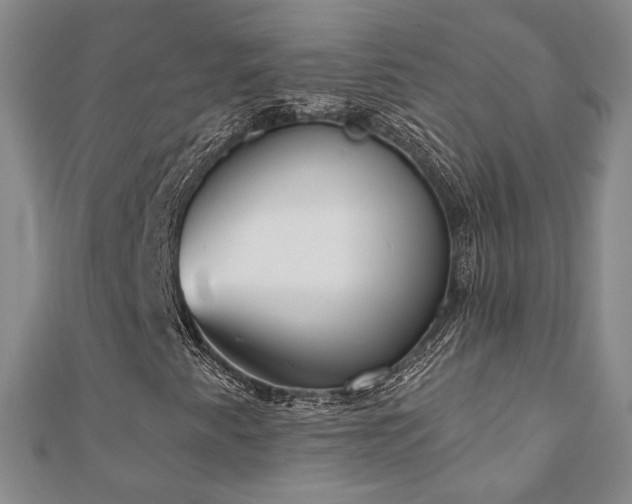 X0000110901345200906181314