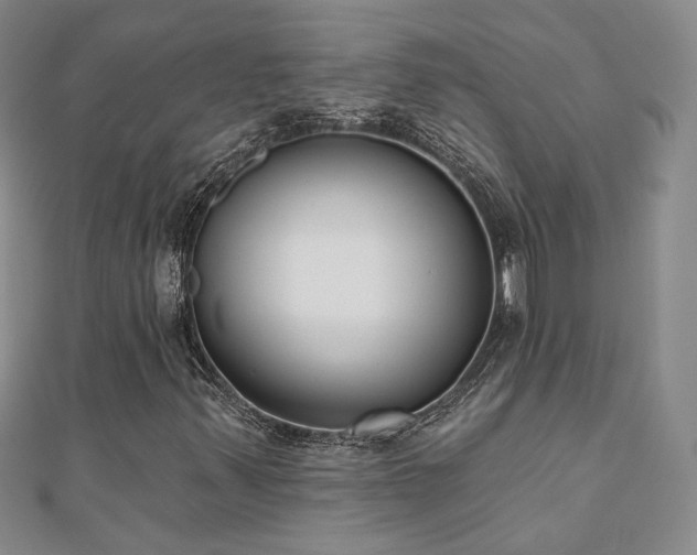 X0000110901347200906181314