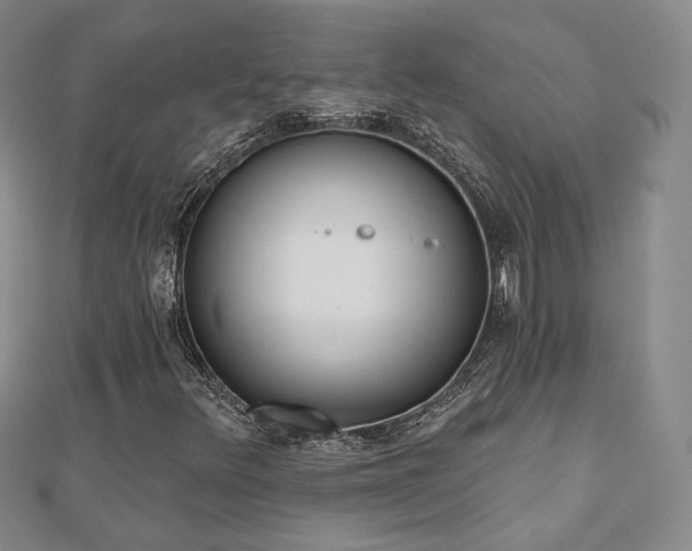 X0000110901348200906181314