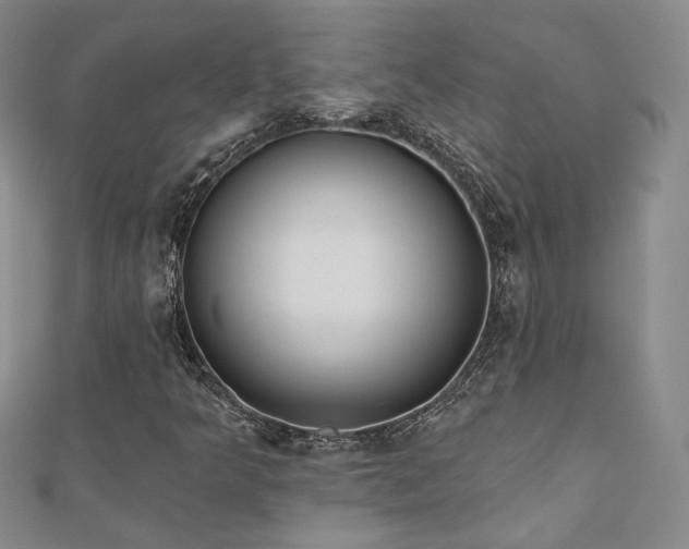 X0000110901349200906181314