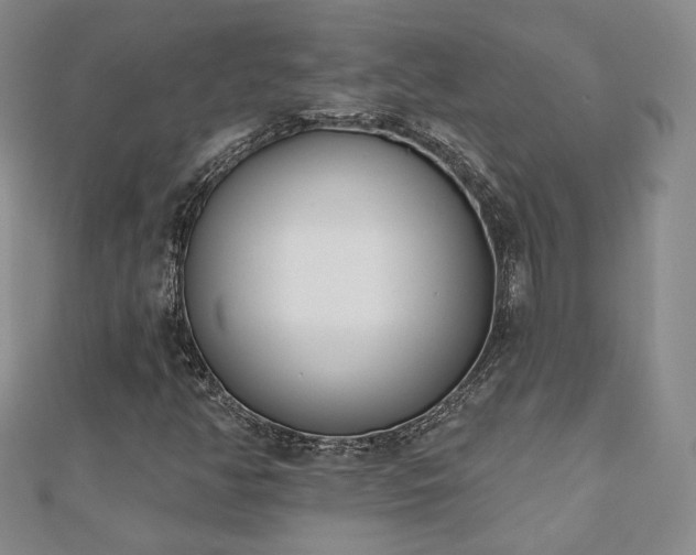X0000110901350200906181314