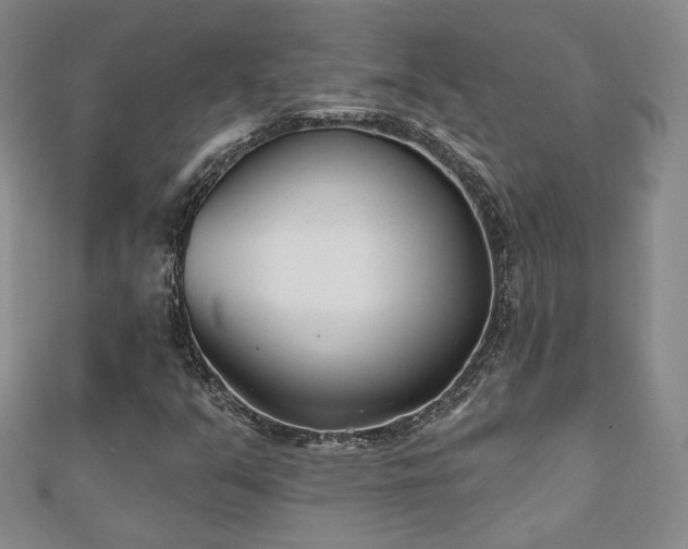 X0000110901351200906181314