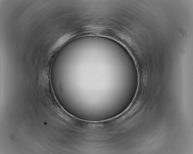 X0000110901354200906181314