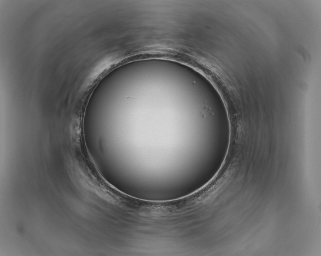 X0000110901355200906181314