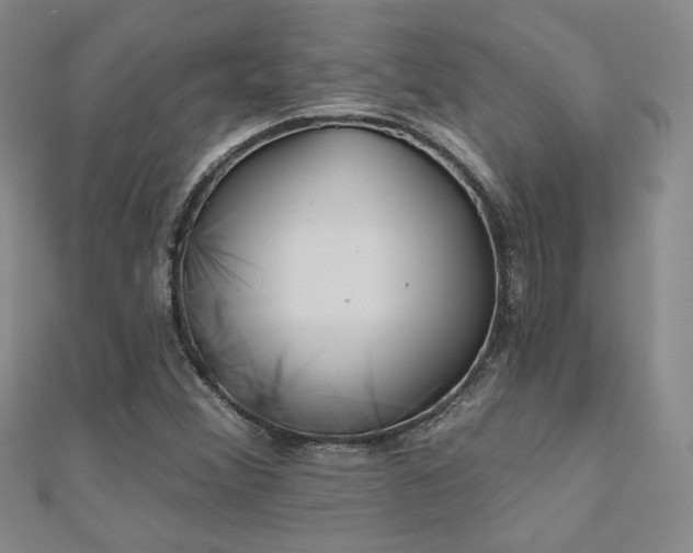 X0000110901356200906181314