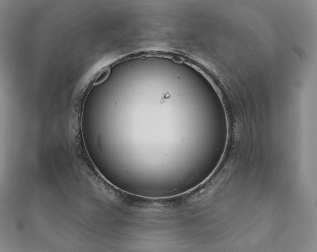 X0000110901359200906181314