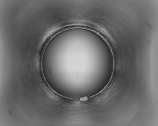 X0000110901360200906181314
