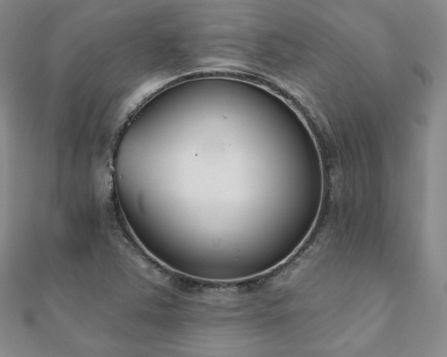 X0000110901363200906181314