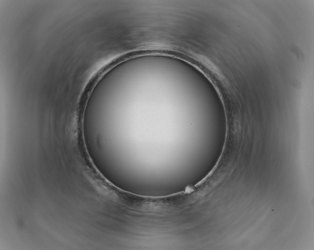 X0000110901364200906181314