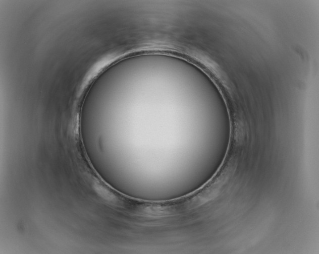 X0000110901366200906181314