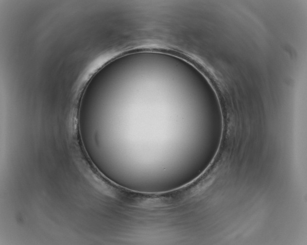X0000110901367200906181314