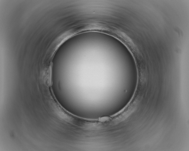 X0000110901369200906181314
