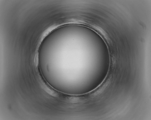 X0000110901371200906181314