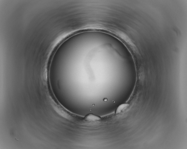 X0000110901372200906181314