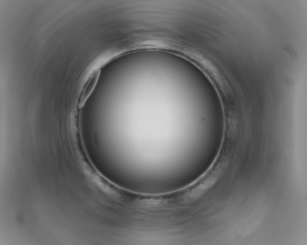 X0000110901373200906181314