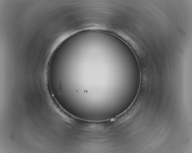 X0000110901375200906181314