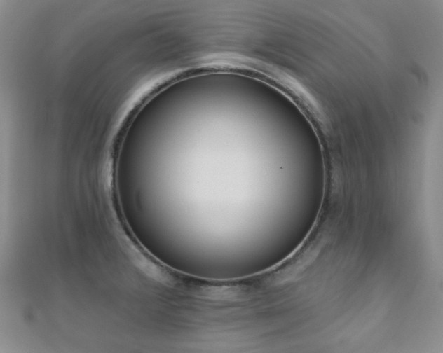 X0000110901376200906181314