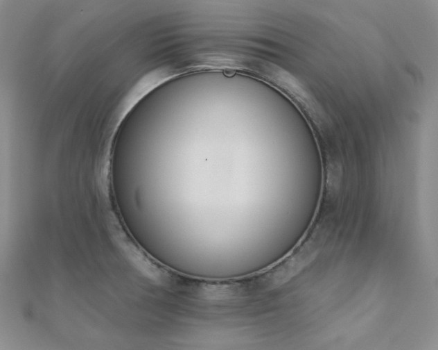 X0000110901378200906181314
