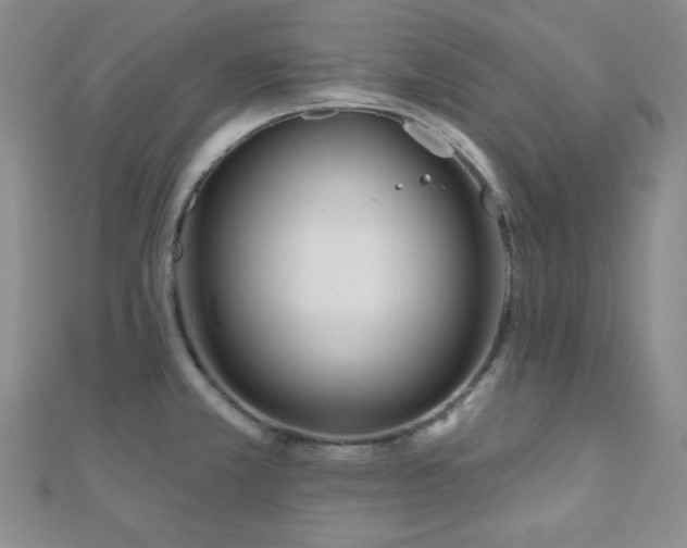 X0000110901381200906181314