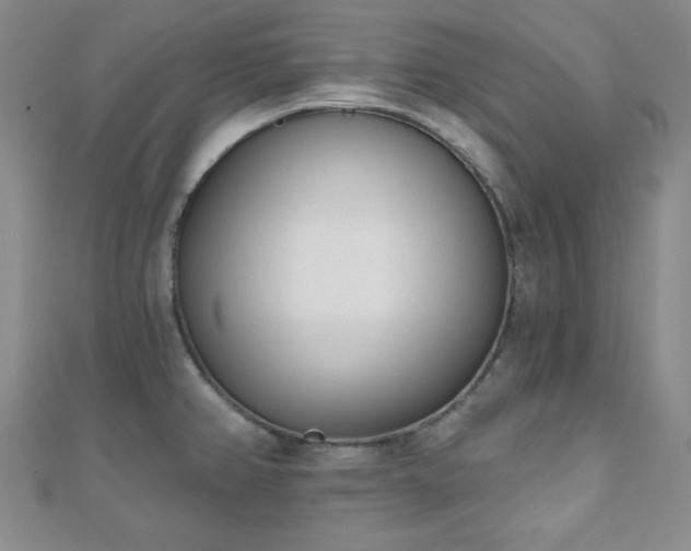 X0000110901382200906181314