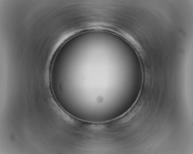 X0000110901384200906181314
