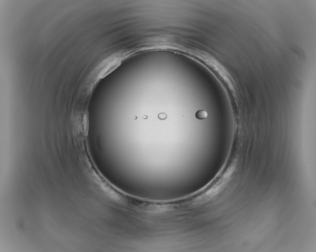 X0000110901385200906181314