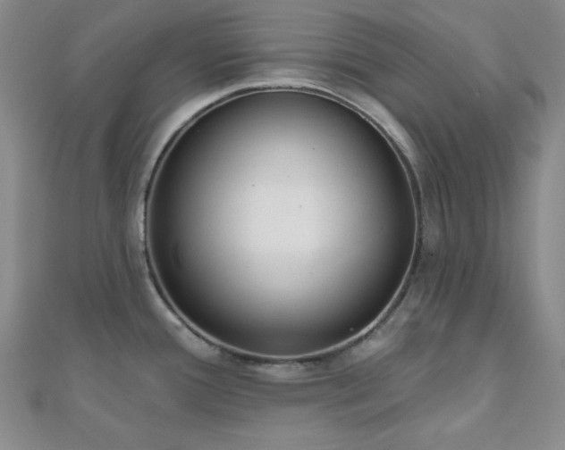 X0000110901388200906181314