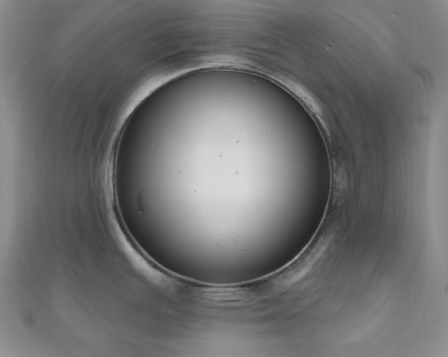 X0000110901391200906181314