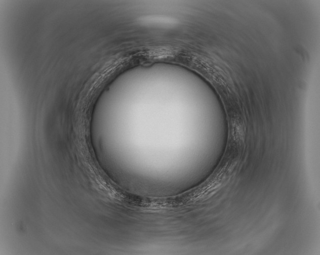 X0000110901393200906181313