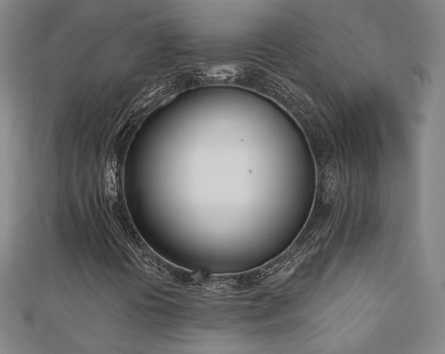 X0000110901394200906181313