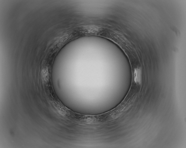 X0000110901395200906181313