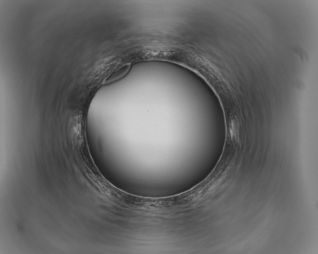 X0000110901396200906181313