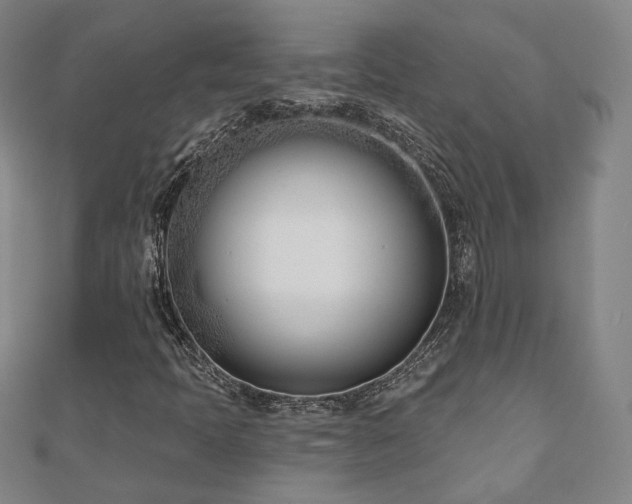 X0000110901397200906181313