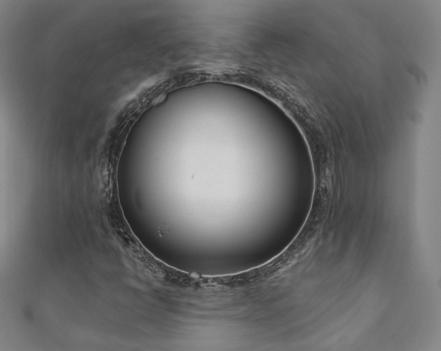 X0000110901398200906181313