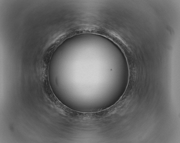 X0000110901399200906181313