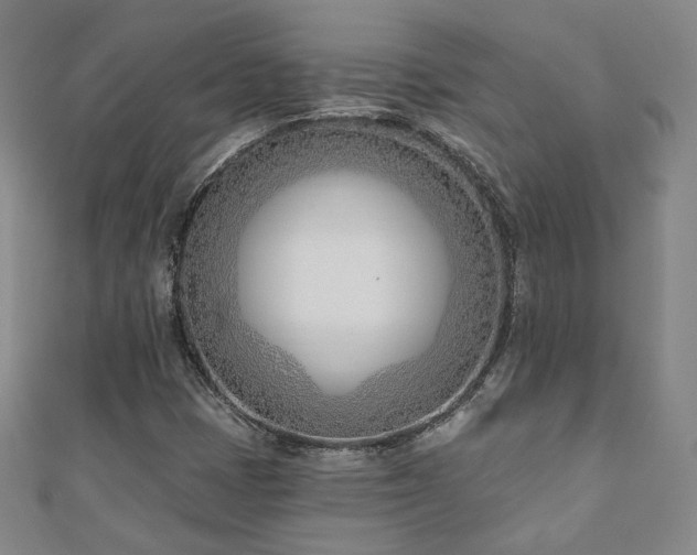 X0000110901401200906181313